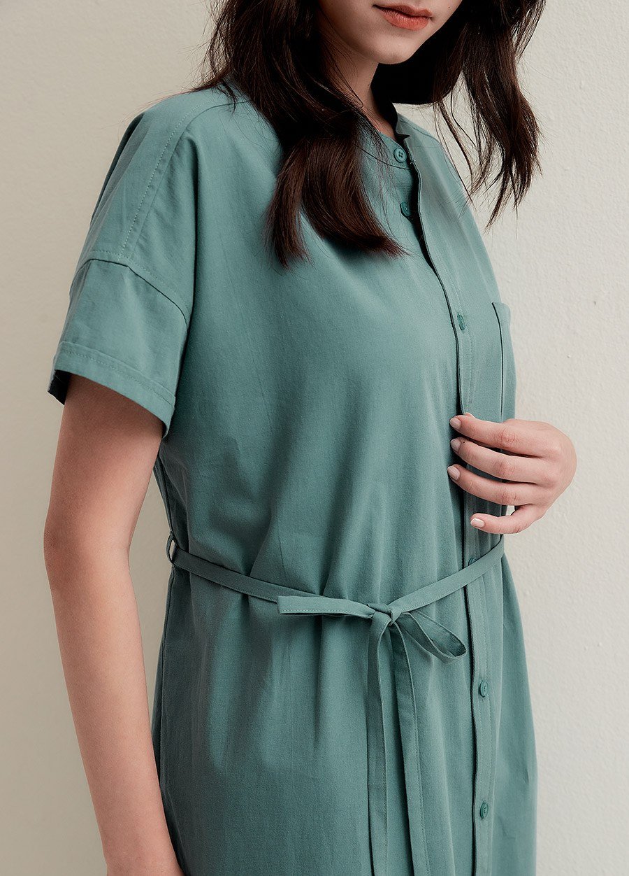 Cotton Maternity & Nursing Shirt Dress